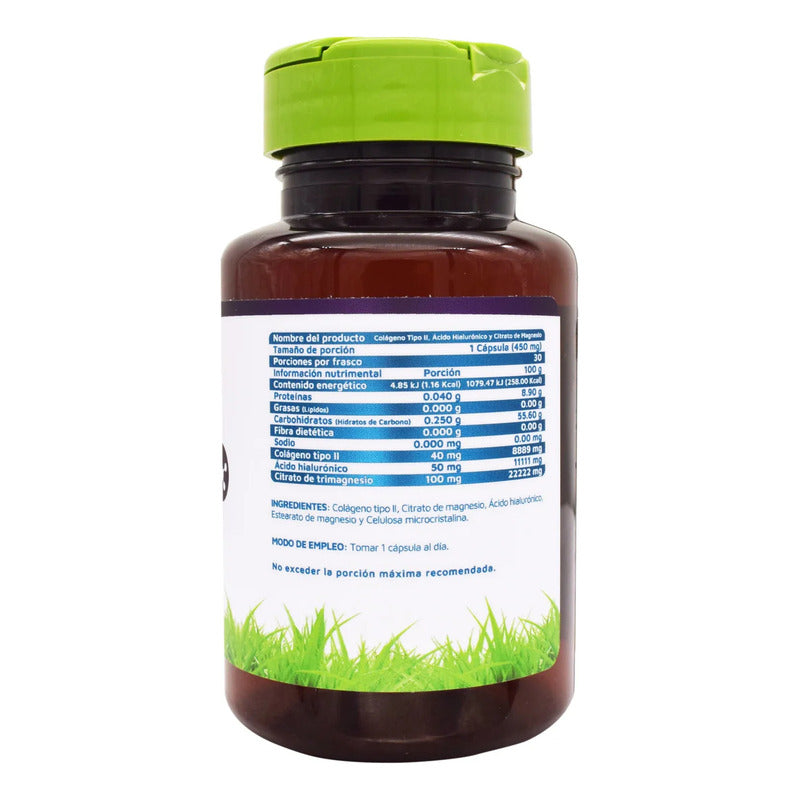 Colageno Tipo Ii Ácido Hialurónico Magnesio 30 Cáp Vidanat Sabor Sin Sabor