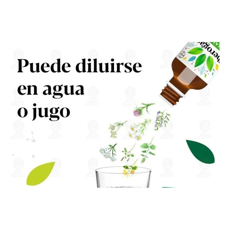 Iberogast Mezcla De Plantas Solucion Oral 20ml