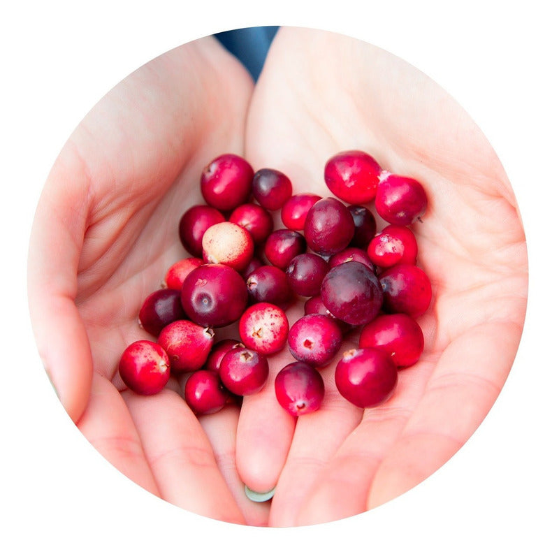 Aradicaps Suplemento Arándano 30 Cápsulas Sin Sabor