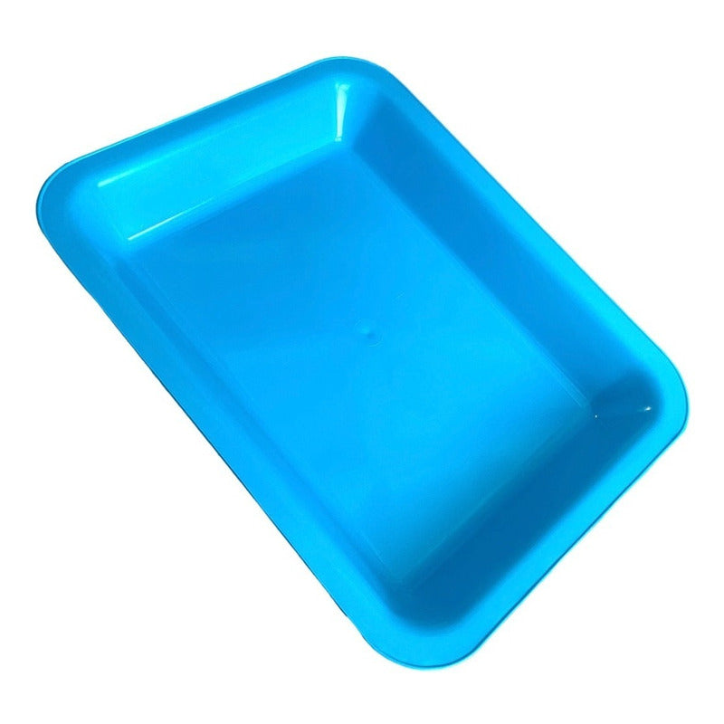 Charola Para Instrumentos Rectangular Azul Edigar