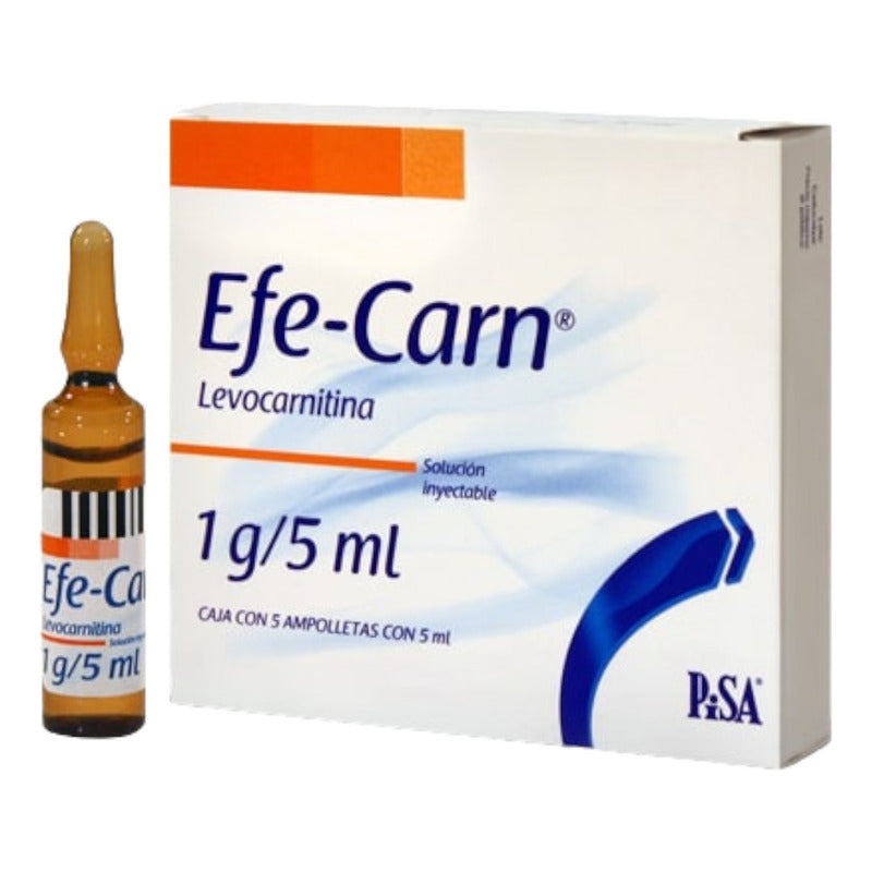 Efe-carn  1g/5ml 5 Amp