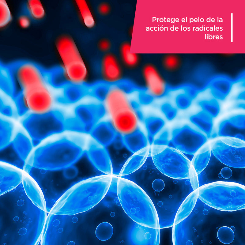 Shampoo Aminoter Reparación Y Protección Microesferas 150ml