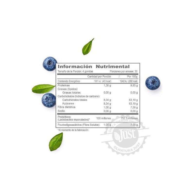 Just Probióticos Lactobacilos Suplemento Arándano 120 Gomas Arándano