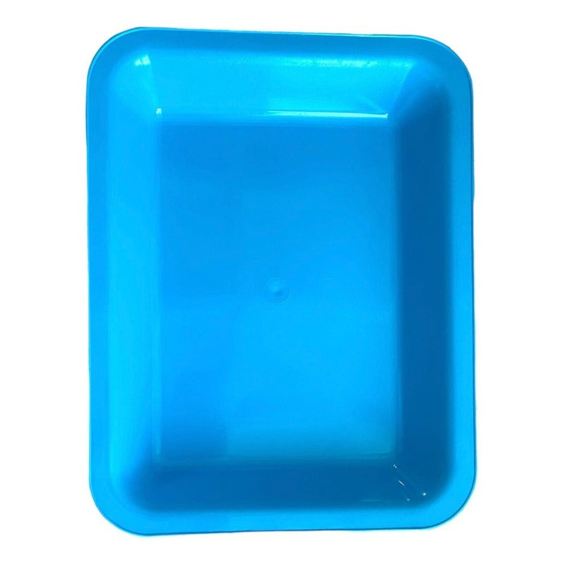 Charola Para Instrumentos Rectangular Azul Edigar