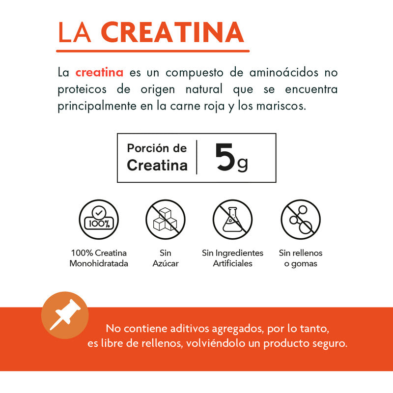 Creatina Monohidratada En Polvo De Alta Pureza | 60 Servicios | 300g | Sabor Natural By Nartex Labs